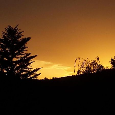 Ferienwohnung Einenkel Seiffen Dış mekan fotoğraf